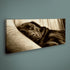 PANORAMIC - DILLY CREASES - 1.2m x 50cm